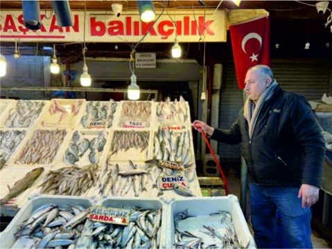 BALIK BOLLAŞTI FİYATLAR DÜŞTÜ